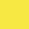 amarelo D283 vision bordar